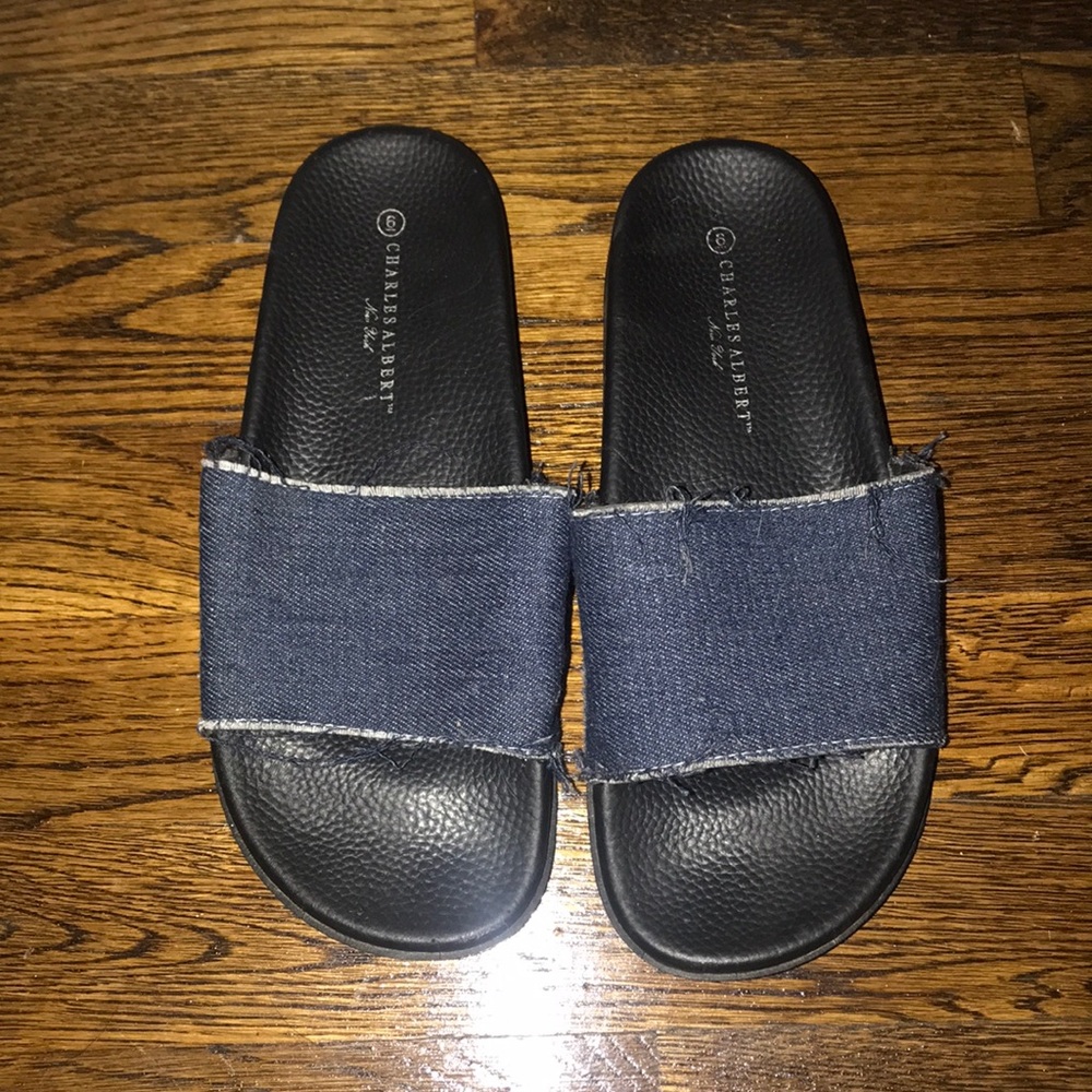 Charles Albert slides.